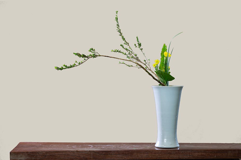 学员作品——二级盆花