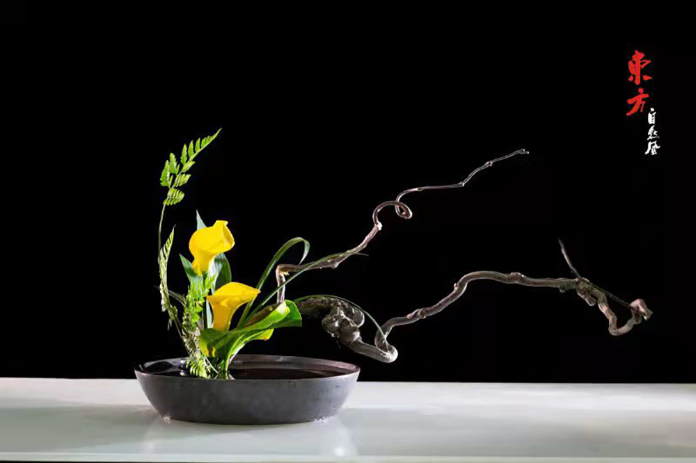 学员作品——三级盆花