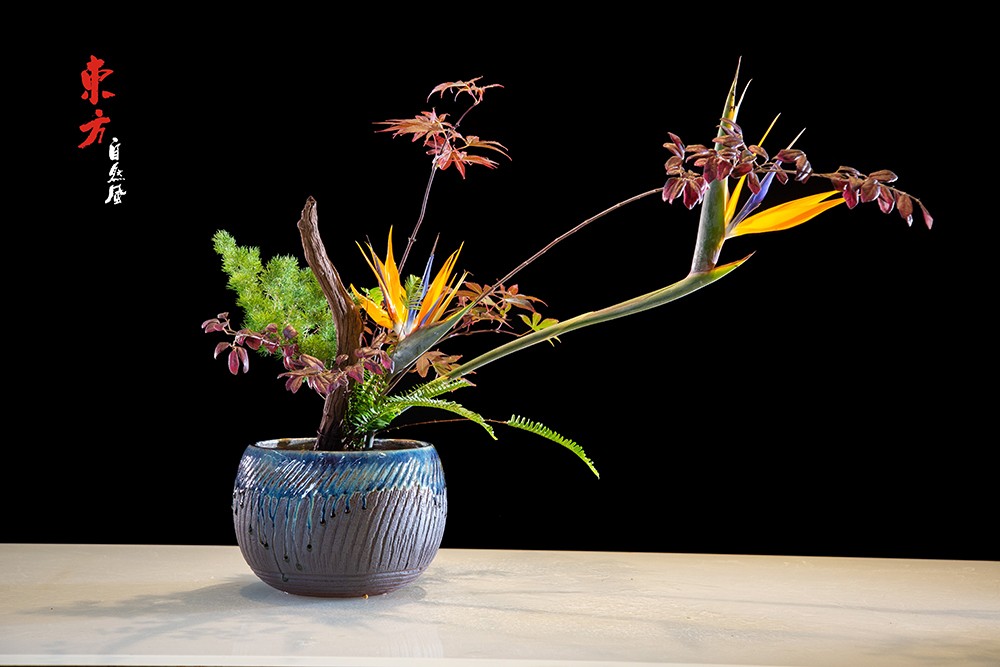 盆花任教资格培训