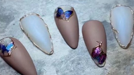 作品展示 作品展示