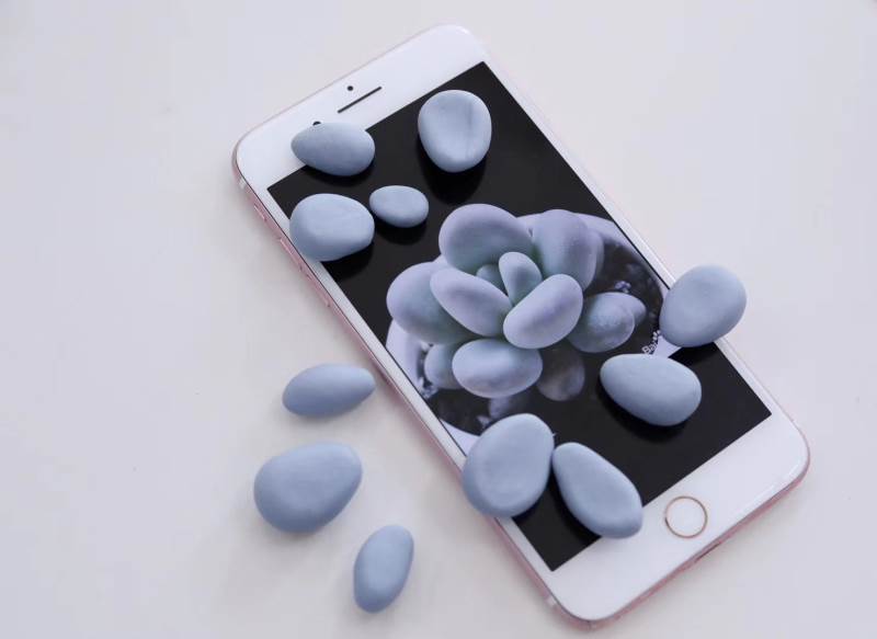 韩式自然系豆沙裱花