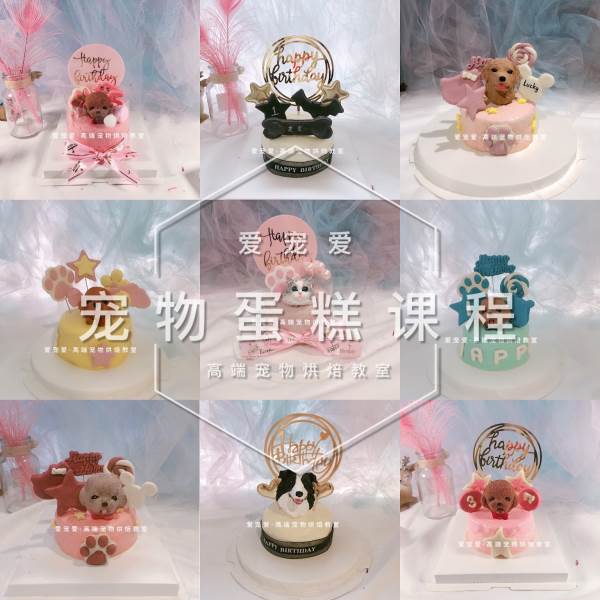 宠物蛋糕