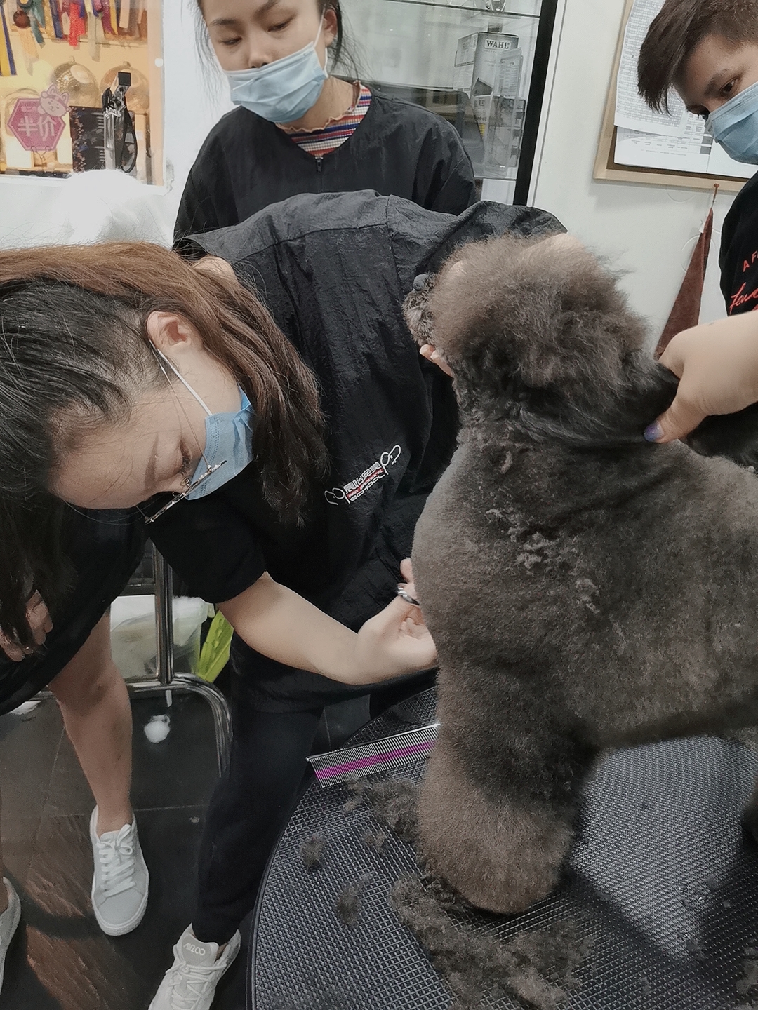 实操现场 实操现场