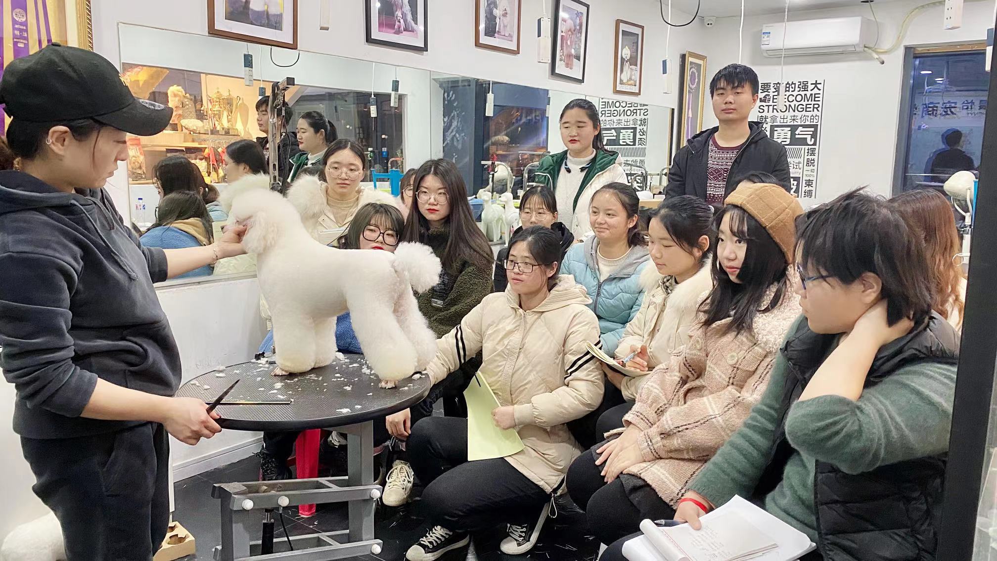 授课现场 授课现场