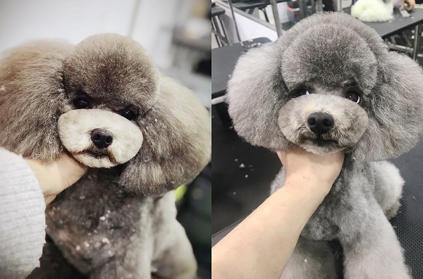 作品分享 作品分享