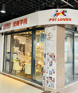 环境分享 环境分享