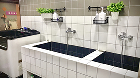 学校环境 学校环境