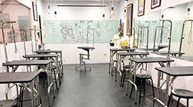 教学环境 教学环境