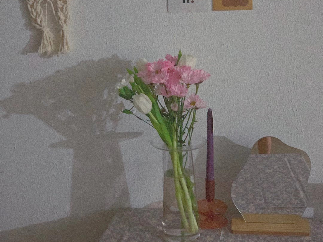 环境展示 环境展示