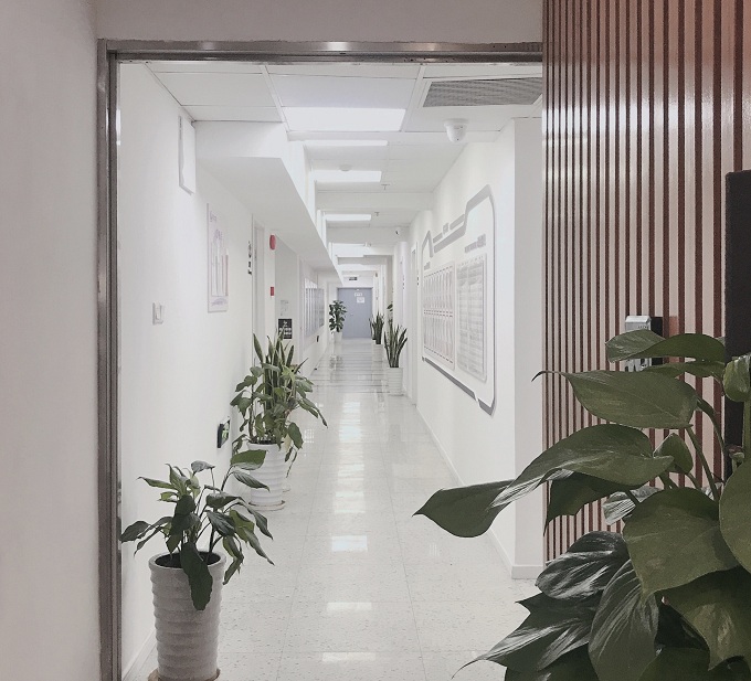 走廊环境 走廊环境