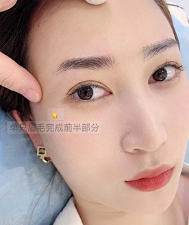 作品展示 作品展示