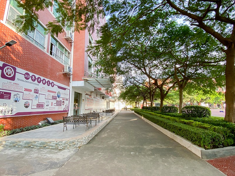 校史馆外的林荫小路