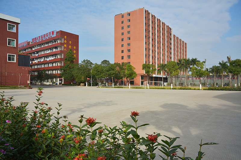 学校广场 学校广场