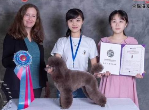 B级贵宾组：第三名：谢宠