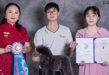 C级贵宾组：优秀奖：张扬