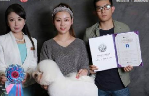 B级剪毛组：第二名：费珊珊