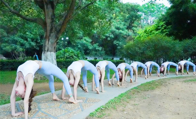 戶外教學(xué)練習(xí)