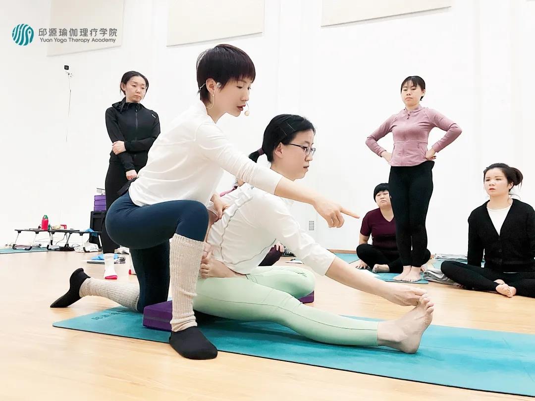 体式指导 体式指导