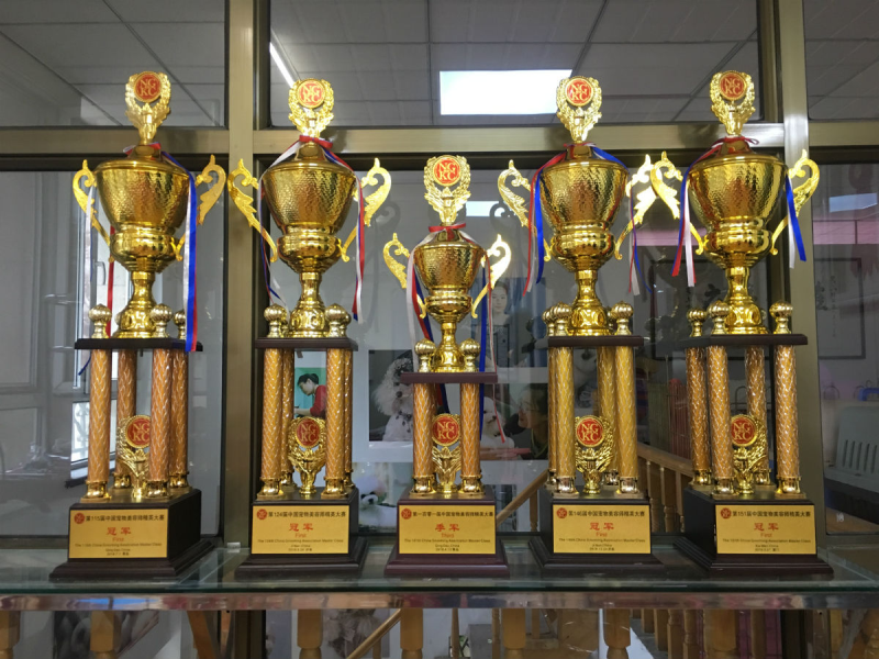 大赛奖杯