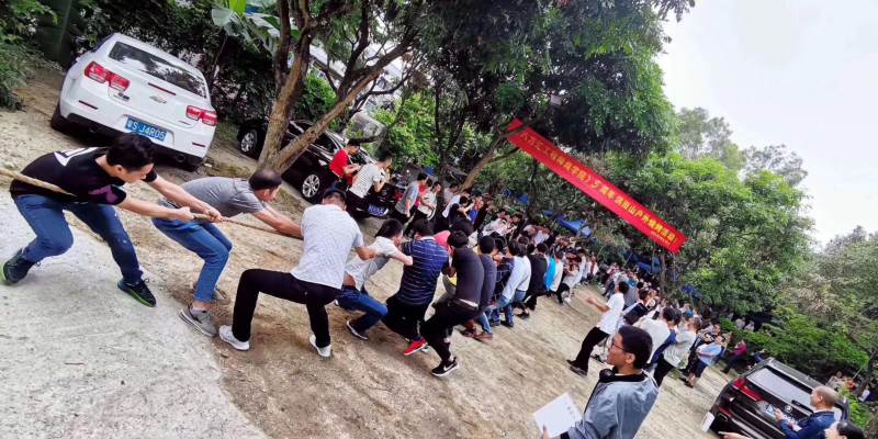 活动展示 活动展示