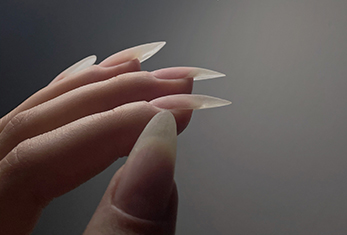 作品分享 作品分享