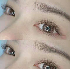 作品展示 作品展示