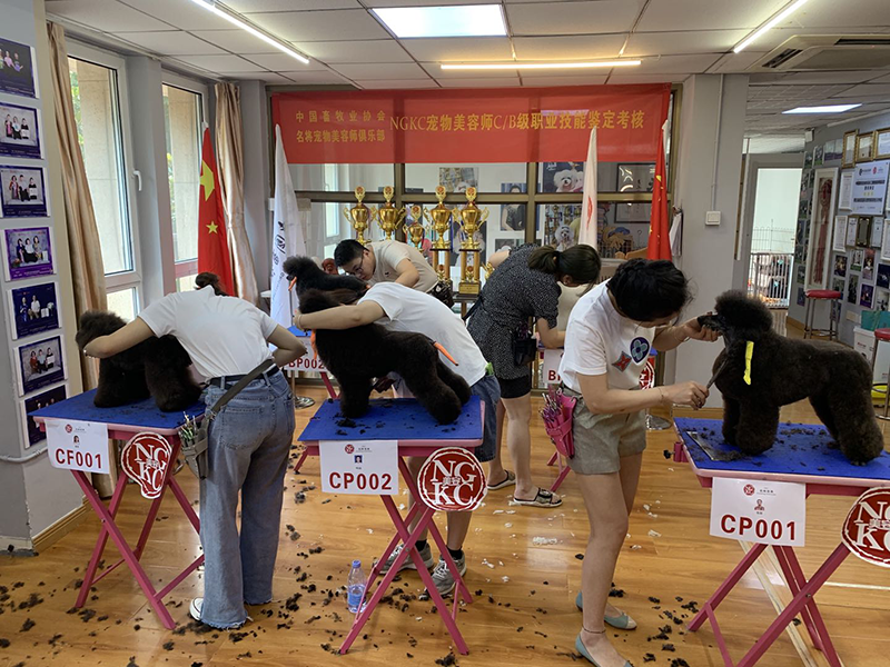 上课现场 上课现场