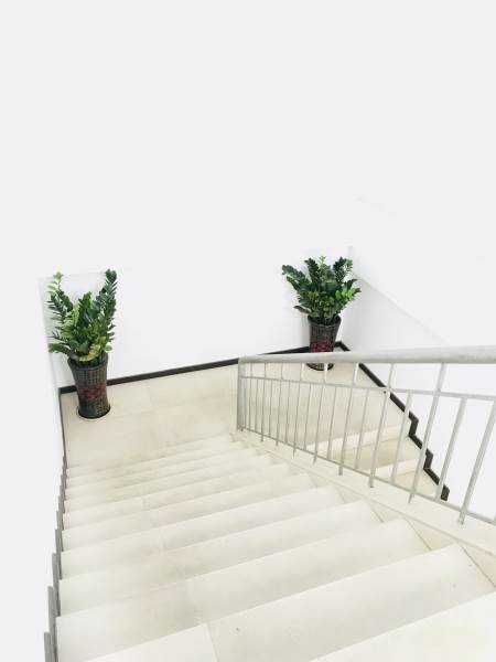 學(xué)校環(huán)境