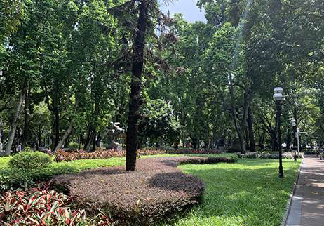 校道环境 校道环境