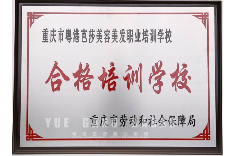 2005年-合格培訓(xùn)學(xué)校-重慶市勞動和社會**局 2005年-合格培訓(xùn)學(xué)校-重慶市勞動和社會**局