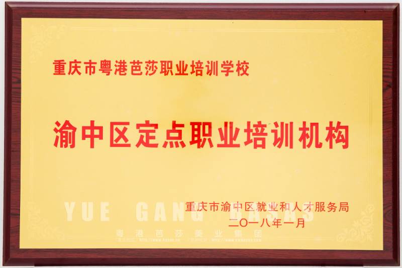 渝中區(qū)定點職業(yè)培訓(xùn)機構(gòu) 渝中區(qū)定點職業(yè)培訓(xùn)機構(gòu)