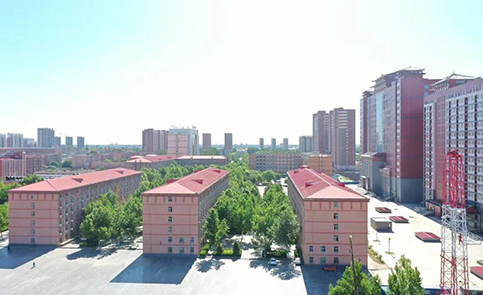 北京振涛培训机构