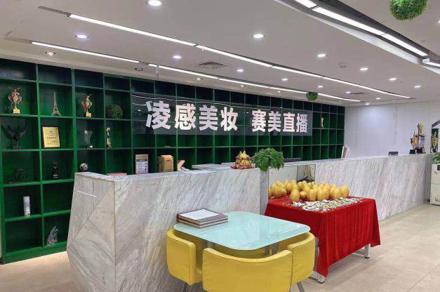 广州凌感职业技能培训学院