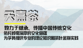 天熹茶文化培训学校