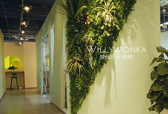 学校环境 学校环境