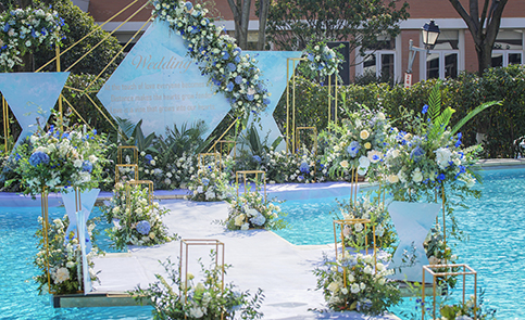 發(fā)展前景 發(fā)展前景