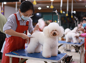 授课现场 授课现场