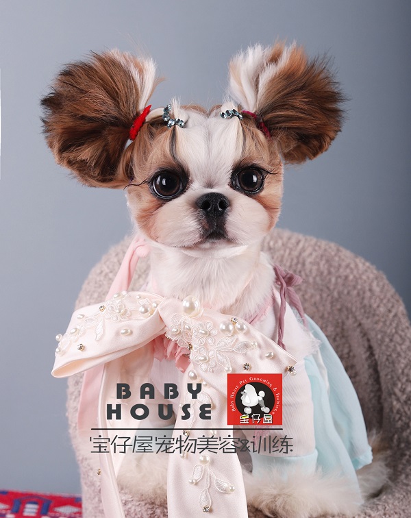 学员作品 学员作品