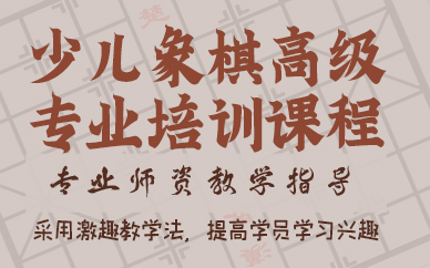 郑州少儿象棋高级专业培训课程