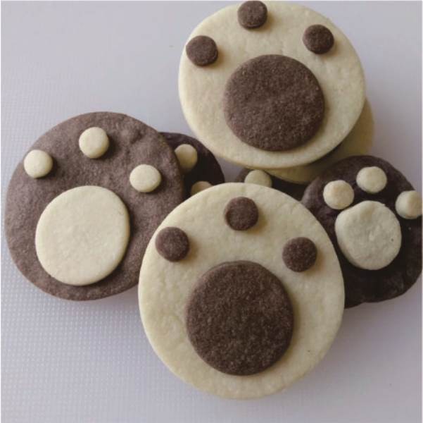 作品展示 作品展示