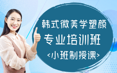 西安韩式微美学塑颜专业培训班