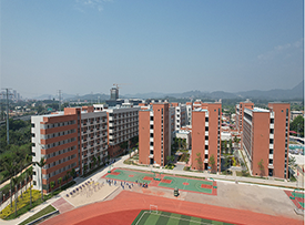 环境展示 环境展示