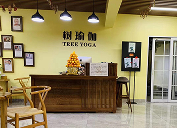 广州树瑜伽学院环境好不好？教学设施齐不齐全？