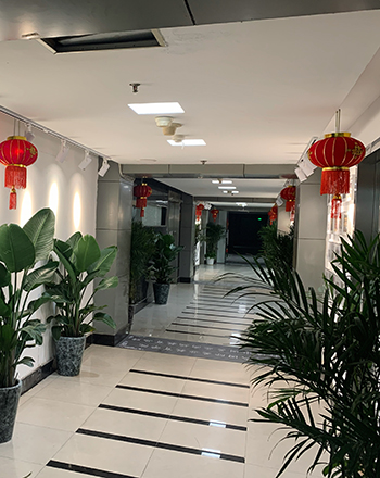 走廊 走廊