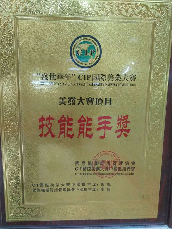 美發(fā)大賽技能能手獎(jiǎng)