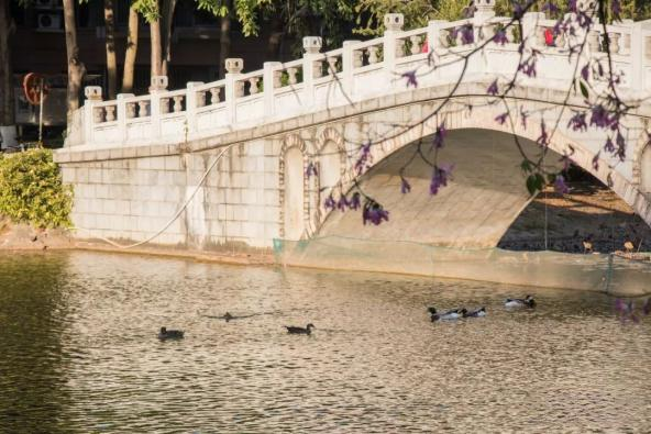 校内环境——情人桥