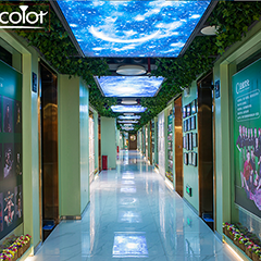 学校走道 学校走道