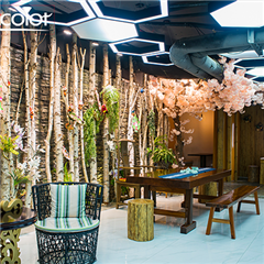 休闲环境 休闲环境