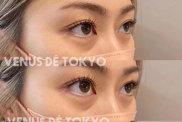 作品展示 作品展示