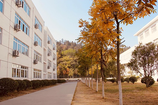 学校环境 学校环境